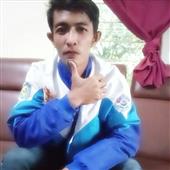 Rắn 