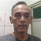 Cáo 