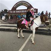 Tiền