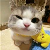 Quần