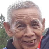 Trâu