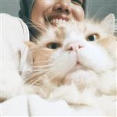 BXH 