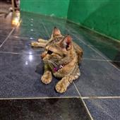 Nhận