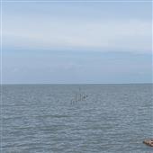 Chơi