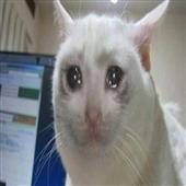Cướp