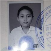 Luật