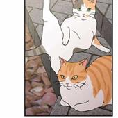 Chú 