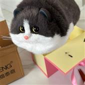 Cần 