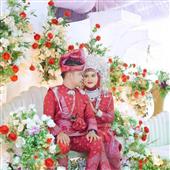 Cung