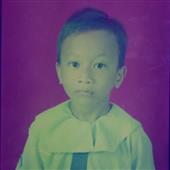Trực
