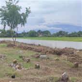 chiế
