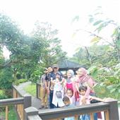 Cung