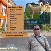 texa