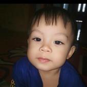 Ứng 