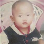 Luật