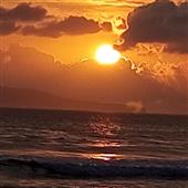 Đấu 