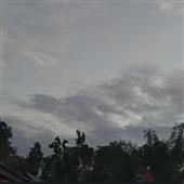 Minh