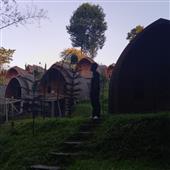 Soi 