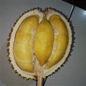 Vàng