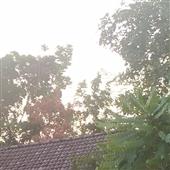 Bảng