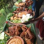 Đánh