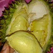 Bắt 
