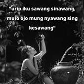 Apsa