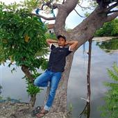 Sự T