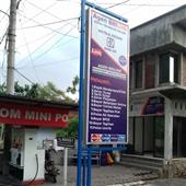 Trực