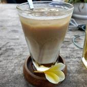 Vệ t