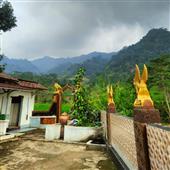 Đại 