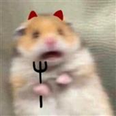 Bxh 
