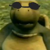 Fina