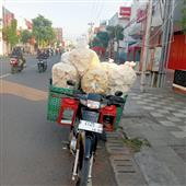 Guồn
